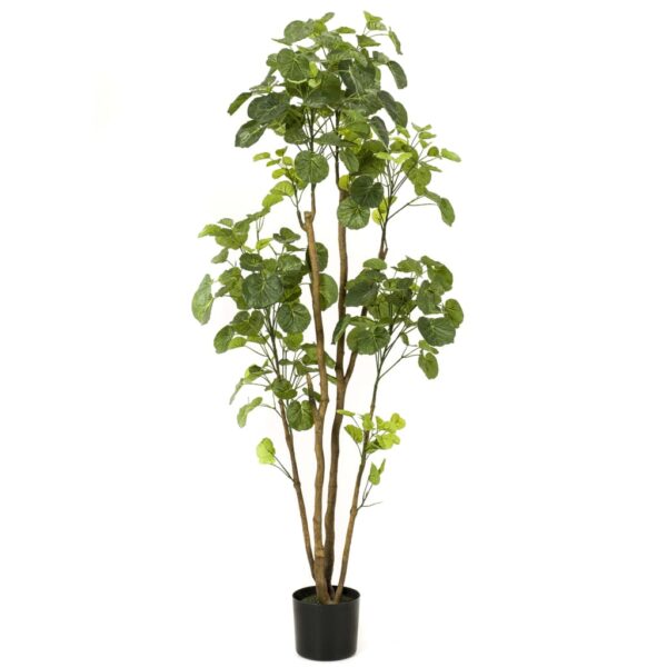 Emerald Kunstpflanze Fiederaralien im Topf 160 cm - Image 2