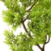 Künstlicher Bonsai Zypresse mit Topf - Image 4
