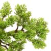 Künstlicher Bonsai Zypresse mit Topf - Image 5